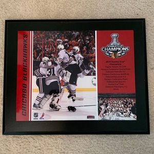 Chicago Blackhawks 2010 Stanley Cup Championship plaque